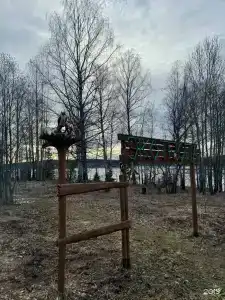 Поляна - 100