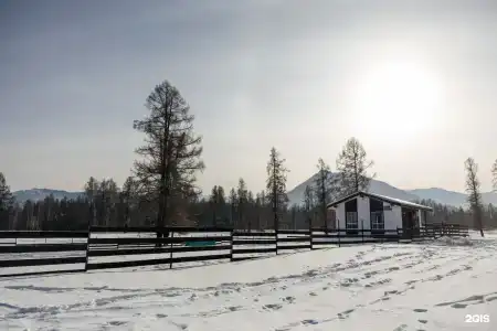 Аврора - 19