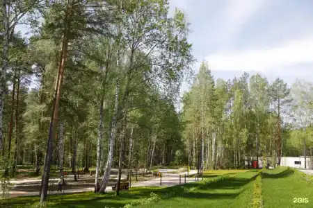Синара-Долголетие - 15