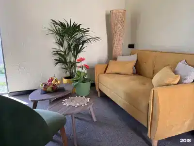 Little Palm - 4