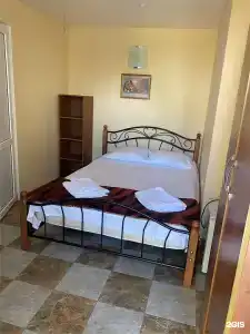 Адениум 585 - 29