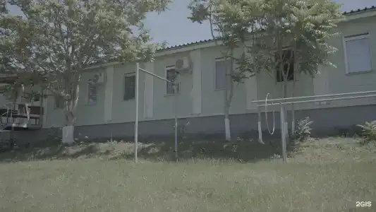 Кедр - 37
