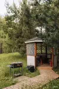 Дыши лесом - 2