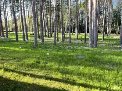 Звезда - 56