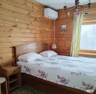 Саттва - 4