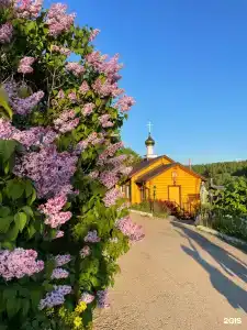 Ферма Подворье Лукино - 27