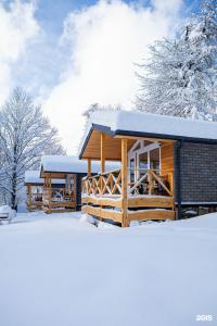 Base Camp - 19