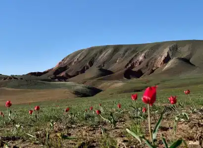 Рыболовный глэмпинг Косика - 23