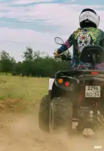 Наша Хвоя - 42
