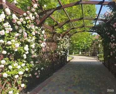 Платан Resort - 27