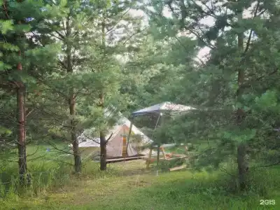 Грибная Находка - 32