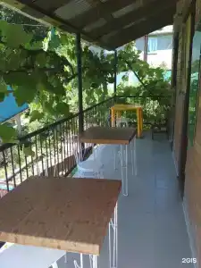 Под пальмой - 21