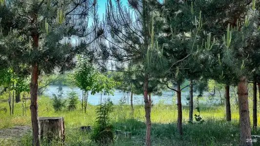 Волжская дюна - 10