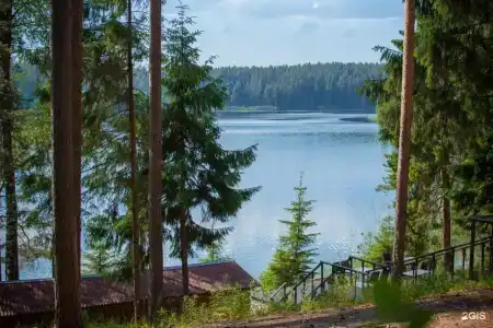 Берендеево царство - 16