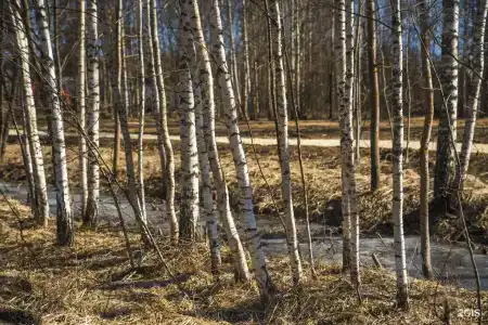 Сойма Парк - 42