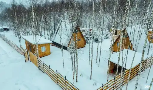 Мой маленький лес - 17