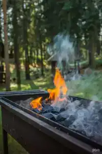 Берендеево царство - 29