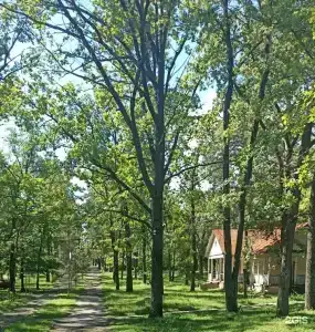 Белый Яр - 18
