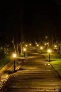 Aura Glamp - 6