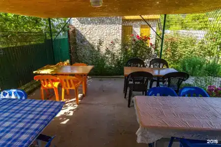 Кедр - 6