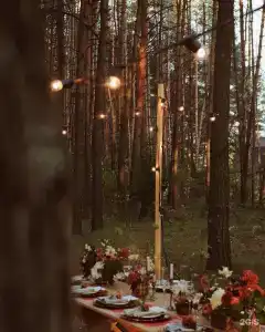 Зеленая Тропа - 25