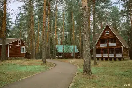 Ветлуга - 0