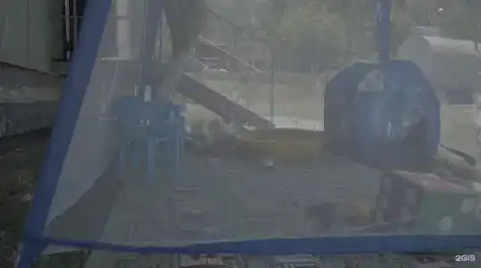 Кедр - 30