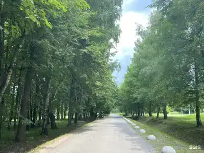 Куркино - 16