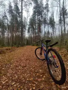 Глэмпинг Эко-отель Forest - 31