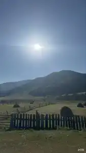 Лисья Нора - 6