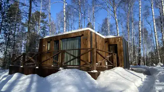 Снежные гуси - 13