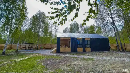 Зелёный бор - 28