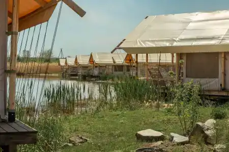 Кенгуру - 1