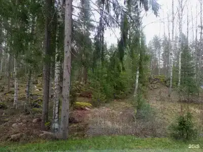 Дома на Сайме - 38