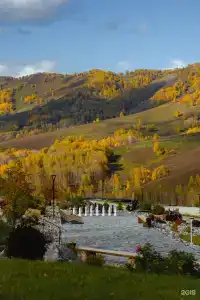 Алтай Пэлас - 124