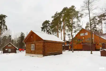 Русский лес - 1