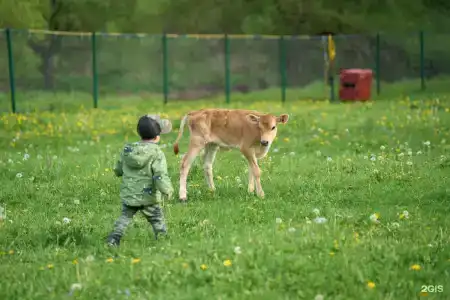 Романовское Подворье - 5