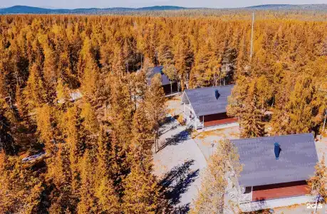 Лесная - 21