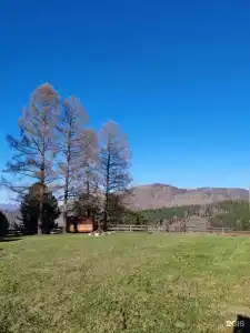 Кедровый - 5