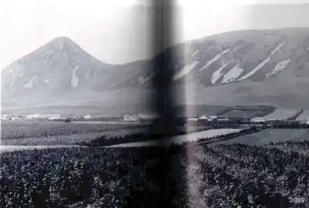 Глэмпинг The Garden - 94