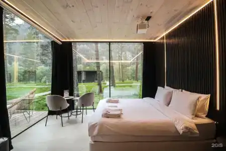 Pinewood resort & SPA - 10
