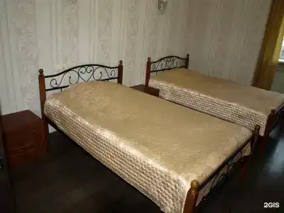 Зебра - 14