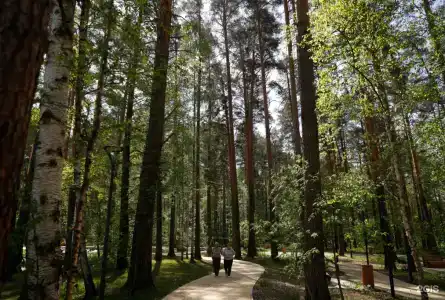 Синара-Долголетие - 12
