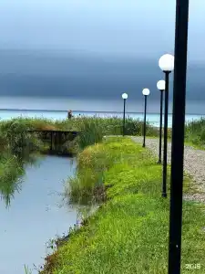 Красный кот - 36