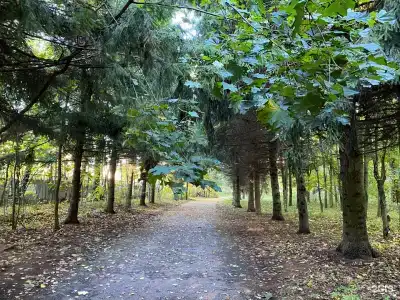 Куркино - 14