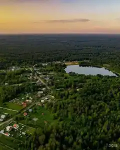 Глэмпинг Эко-отель Forest - 0