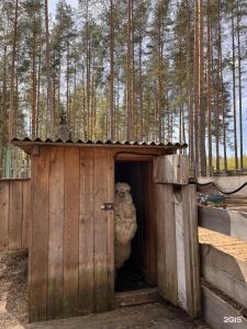 Загородный клуб Life - 81