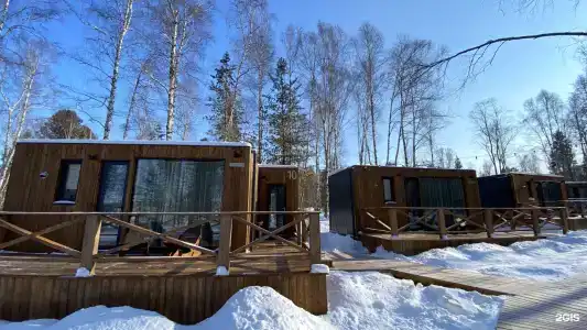 Снежные гуси - 19