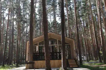 ДухЛес - 52