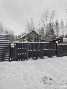 Крокус - 45